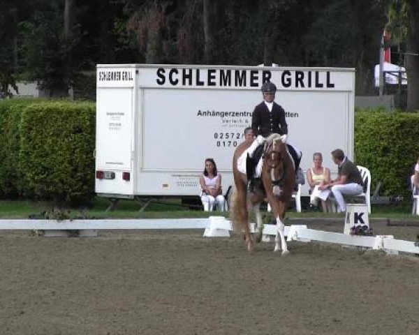 dressage horse Top Charly 2 (Westphalian, 2009, from Top Champy)