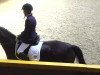 dressage horse Festival (Westphalian, 2008, from Fuerto)