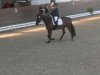 dressage horse Double D's Sunny (Hanoverian, 2010, from Doolittle)