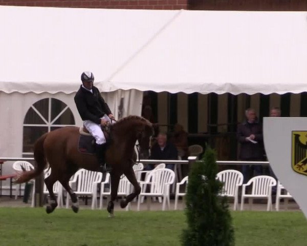 jumper Vincent (Hanoverian, 2009, from Valentino)