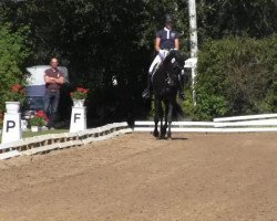 dressage horse Agathon 14 (Trakehner, 2006, from Buddenbrock)