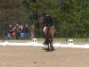 dressage horse Lloyd G (Bavarian, 2009, from Laudabilis)