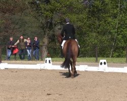 dressage horse Lloyd G (Bavarian, 2009, from Laudabilis)