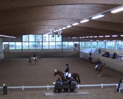 dressage horse Sir Sam 5 (Westphalian, 2006, from Sir Donnerhall I)