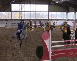 broodmare Seetje 2 (Oldenburg show jumper, 2008, from Stalypso)