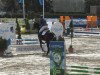 jumper Bofey Click (Swedish Warmblood, 2009)