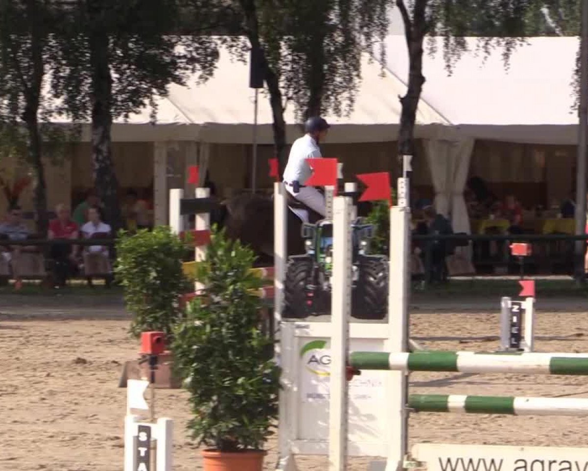 Springpferd Coralie TF (Westfale, 2010, von Congress)