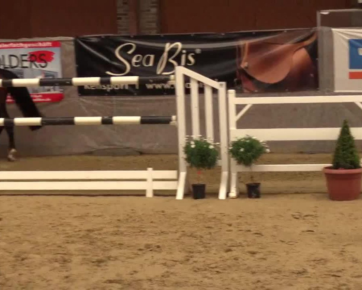 jumper Cartier (Rhinelander,  , from Carlucci 13)