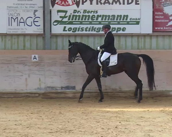 Reitturnier Bad Windsheim/Mfr. 2020