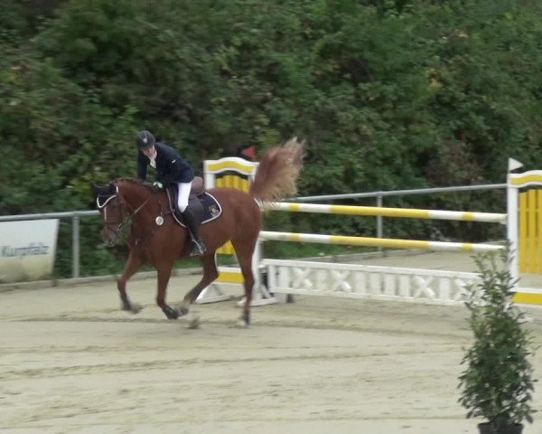 Reitturnier Ladenburg 2020