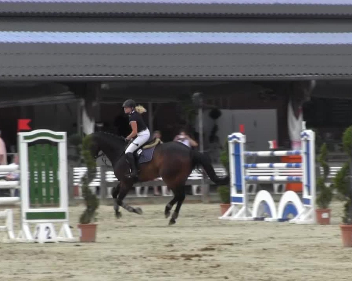 jumper Captain Cornet 2 (Westphalian, 2009, from Captain Fire)