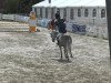 jumper Silver Minnie (Finnish Warmblood, 2009, from Check In 2)