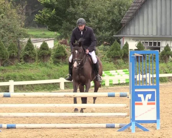 Reitturnier Behrendorf 2020