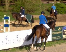 jumper Centender 2 (Oldenburg show jumper, 2010, from Centadel)