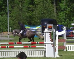 jumper Chonz 'o Rose (Hanoverian, 2008, from Clinton H)