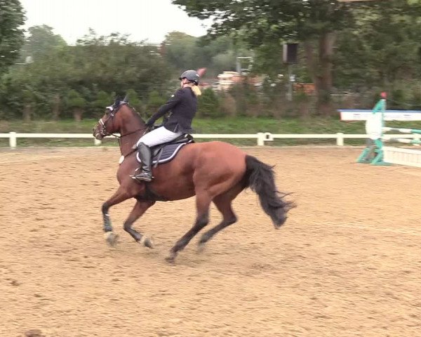 Reitturnier Behrendorf 2020