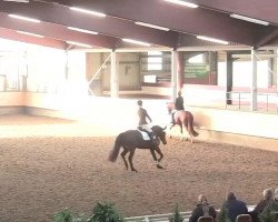 dressage horse Desiree 568 (Oldenburg, 2010, from Fidertanz)