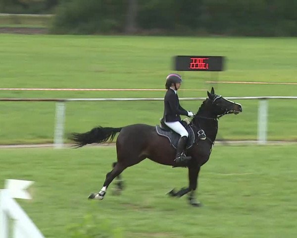 Reitturnier Bad Windsheim/Mfr. 2020