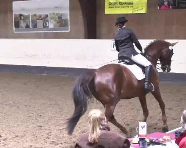 dressage horse Evita CE (Württemberger, 2002, from Epikur)