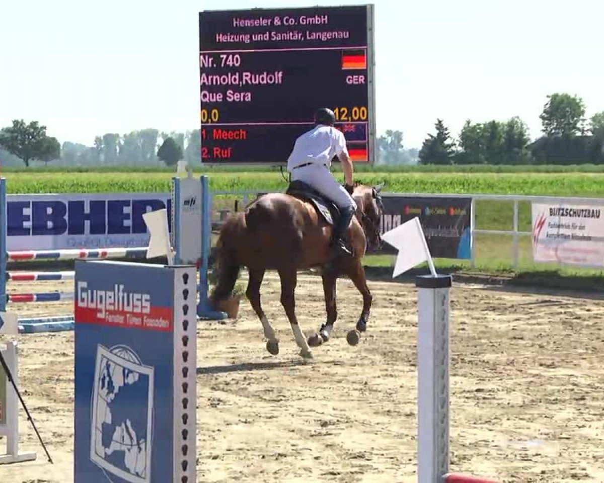 broodmare Que Sera 24 (Holsteiner, 2009, from Quidam de Revel)