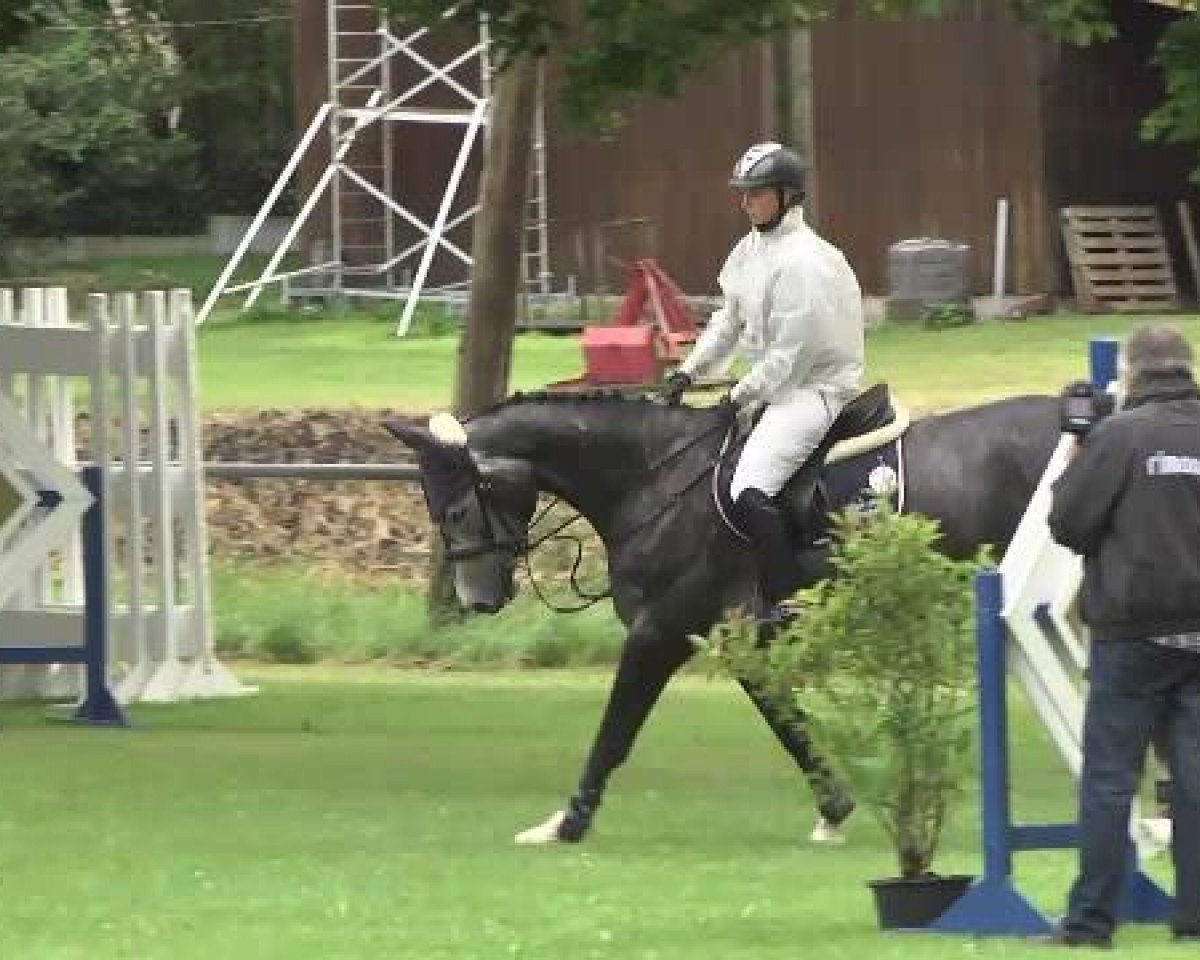 Springpferd Camira 82 (Württemberger, 2009, von Couleur Noire)