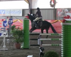 jumper Hector Barbossa (Hanoverian, 2006, from Heraldik xx)