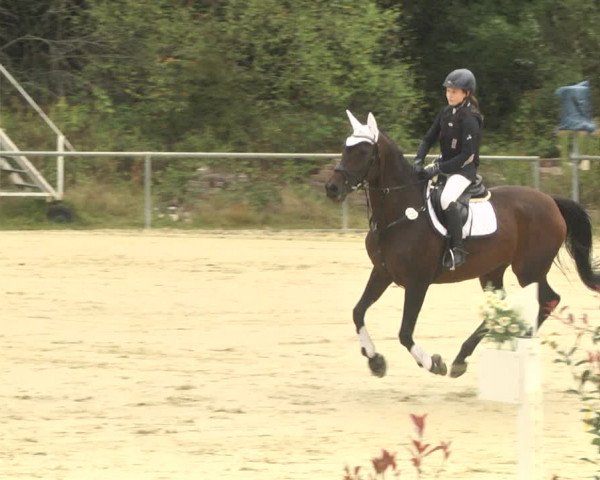 Reitturnier Herxheim 2020