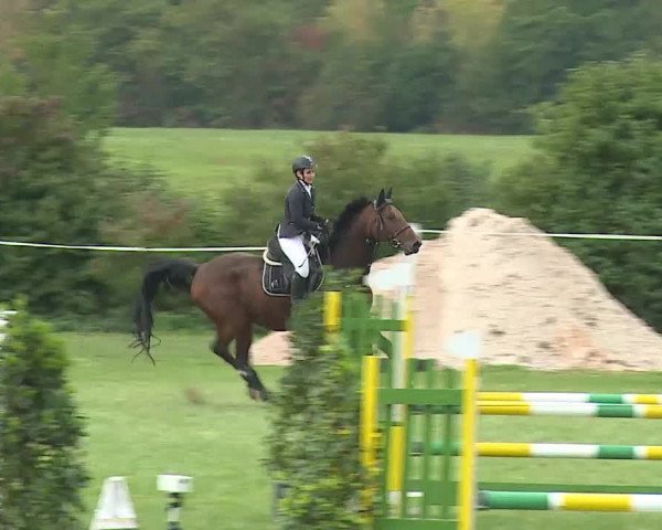 Reitturnier Bad Windsheim/Mfr. 2020