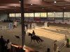 jumper Mona Lisa 409 (German Riding Pony, 2003, from Martini)