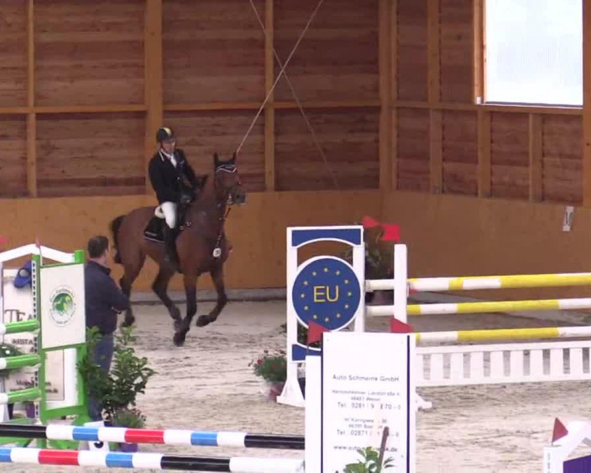 Pferd Grupo prom Kulkulcan (Belgisches Warmblut, 2007, von Canaye)