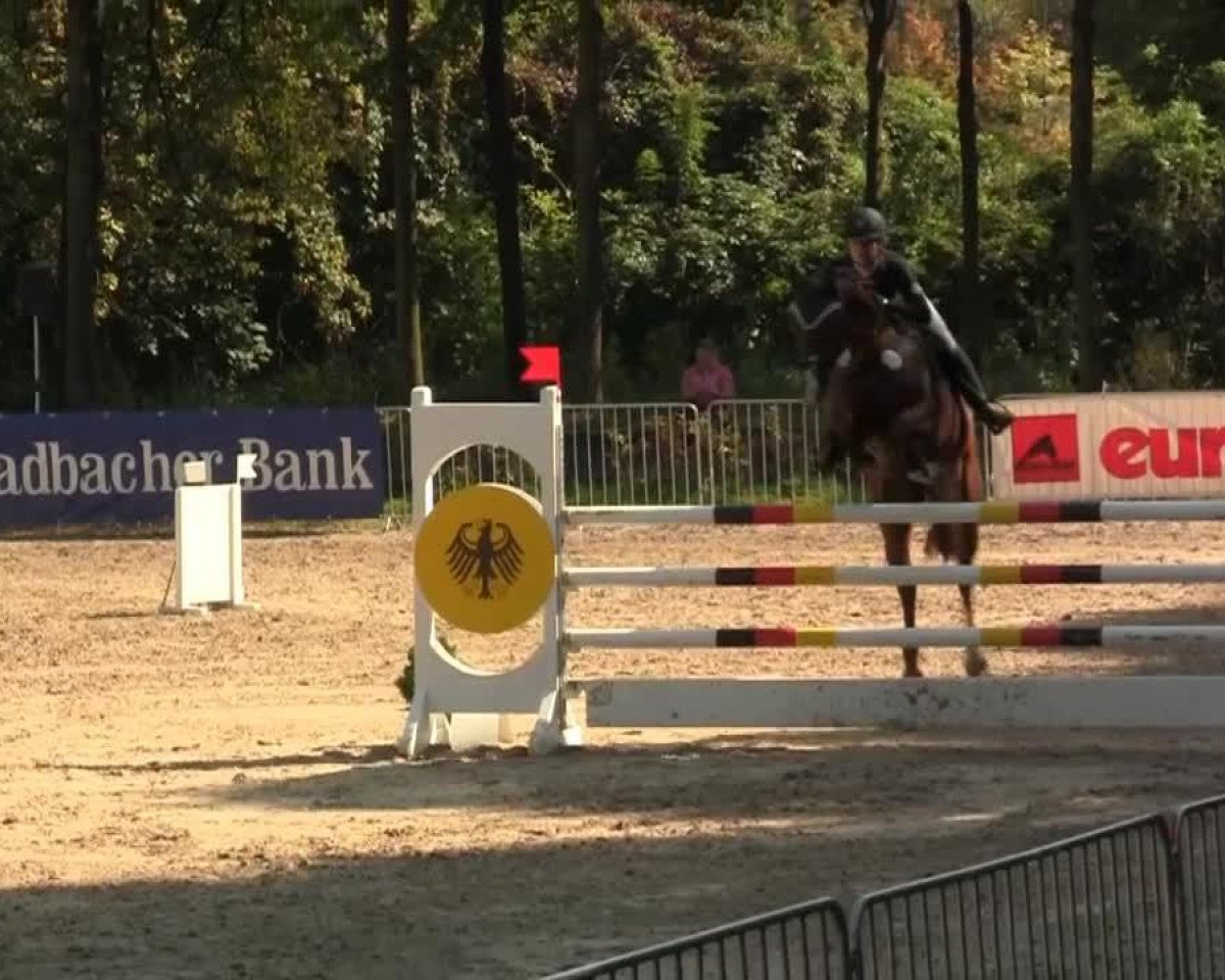 jumper Apirola T (Rhinelander, 2009, from Acorado's Ass)