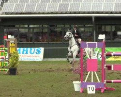 dressage horse Sunshine (Hanoverian, 2009)