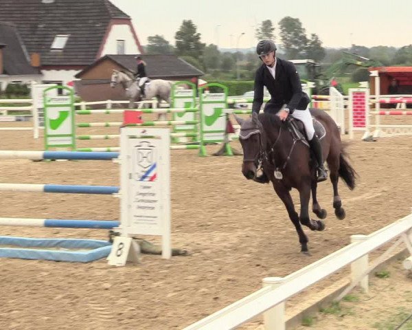 Reitturnier Behrendorf 2020