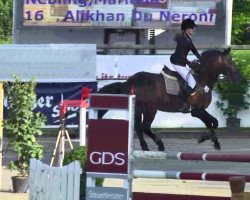 jumper Alikhan du Neronry (Belgian Warmblood, 2004, from Kashmir van't Schuttershof)