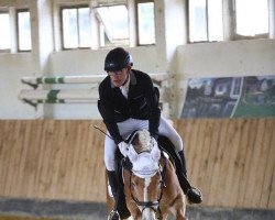 dressage horse Luna 1666 (Haflinger, 2006, from Andy (1,57% ox))