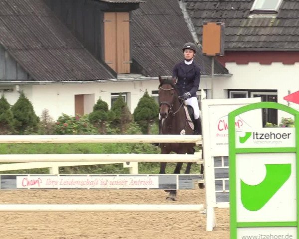 Reitturnier Behrendorf 2020