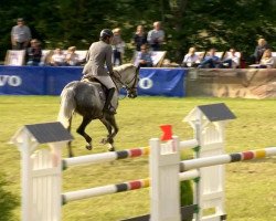 jumper Latina Leth (Danish Warmblood, 2006, from Ladas)