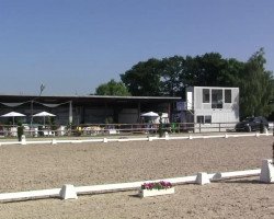 dressage horse Fabius 97 (Rhinelander, 2009, from Flatrate)