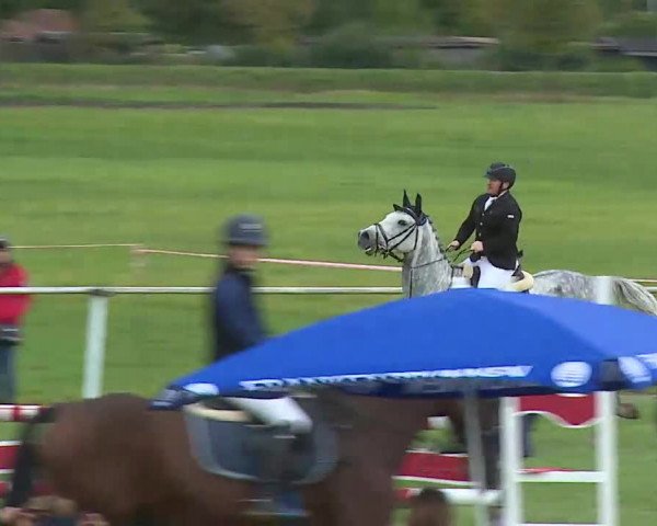 Reitturnier Bad Windsheim/Mfr. 2020