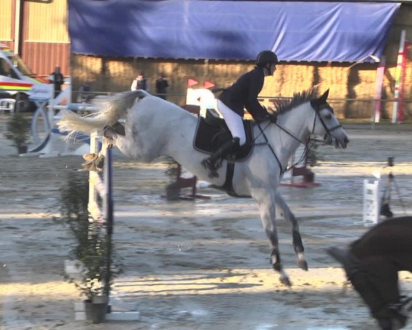 Reitturnier Herxheim 2020