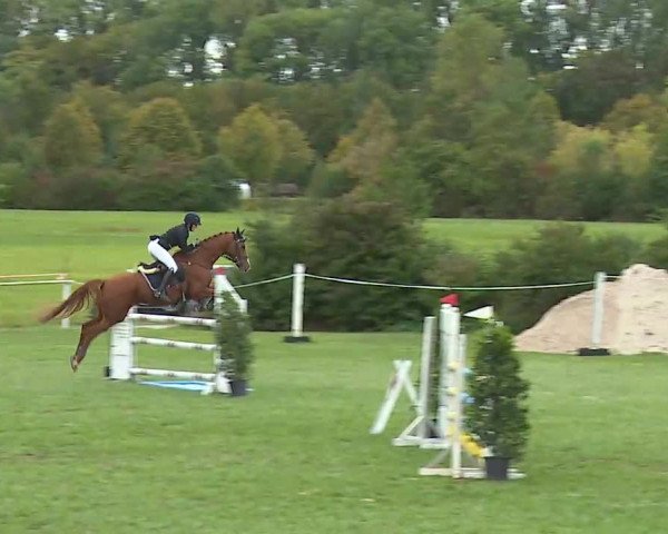 Reitturnier Bad Windsheim/Mfr. 2020