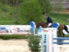 jumper Corlandus 15 (Oldenburg show jumper, 2008, from Corland)