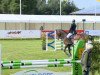 jumper Sancontro (Oldenburg show jumper, 2008, from Sanvaro)