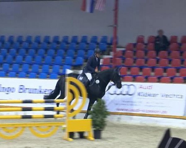 jumper Dakota 365 (Oldenburg show jumper, 2010, from Diarado)