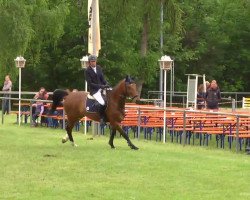 jumper Benedikt 35 (Württemberger, 2009, from Balou du Rouet)