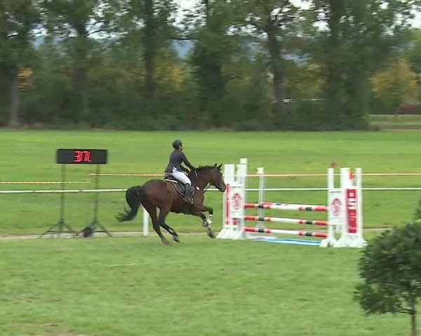 Reitturnier Bad Windsheim/Mfr. 2020