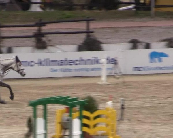 jumper Zagnola (KWPN (Royal Dutch Sporthorse), 2014)