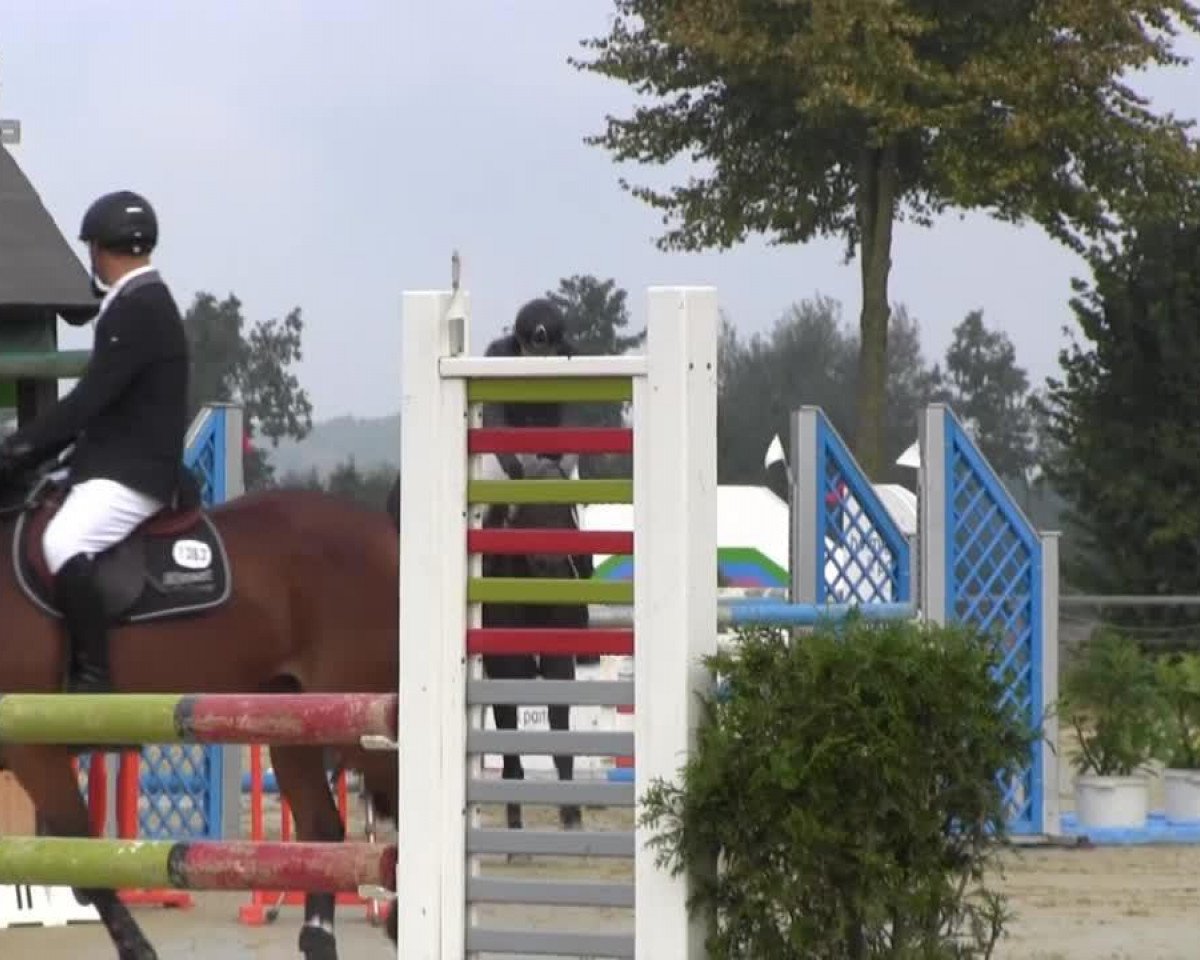 jumper Lusiana 20 (Oldenburg, 2008)