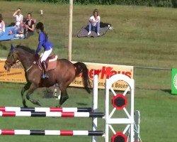 jumper Unlimited 26 (KWPN (Royal Dutch Sporthorse), 2001)