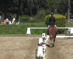 dressage horse Bella Colori (Hanoverian, 2008, from Belissimo NRW)